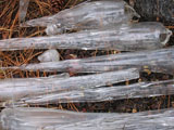 Sleeping Lady Icicle icicles