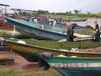 Boats on Lake Victoria shore
