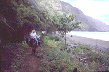 Mule trail