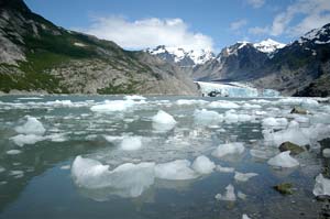 Ice chunks in Glacier Bay