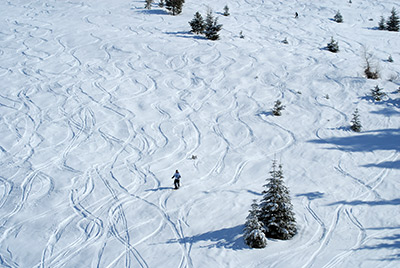 Idaho skiing - too late for freshies