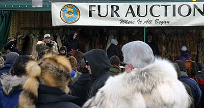 Fur Rondy Fur Auction