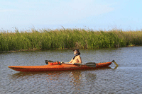 Man kayaking the Apalachicola River