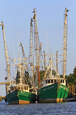 Fishing boats at dock along Apalachicola River