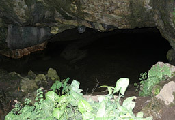 Fiji-Naihehe Cave Entrance