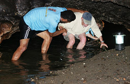 Fiji-Naihehe Cave Pregancy Gap