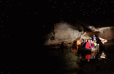New Zealand Te Anau glowworm caves