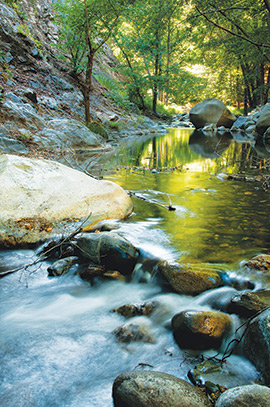 Tassajara Zen Mountain Center creek