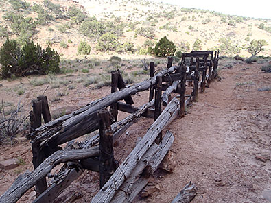 Fence at Neck Spring
