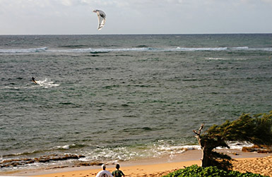 Waipouli Beach kite sailor
