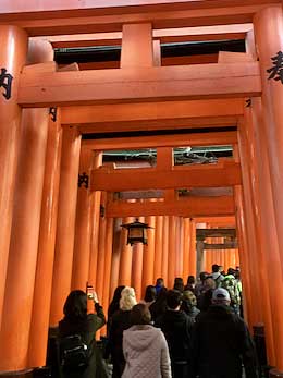 crowds walk under the torii framing the path at Fushimi Inari-taisha.