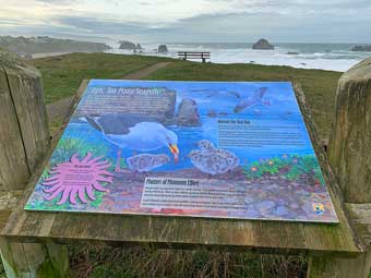 Interpretive sign, Bandon, Oregon