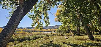 Stulc Ranch Judith River