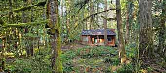 Still Creek rustic cabin