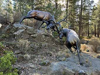 Sculpture of clashing deer